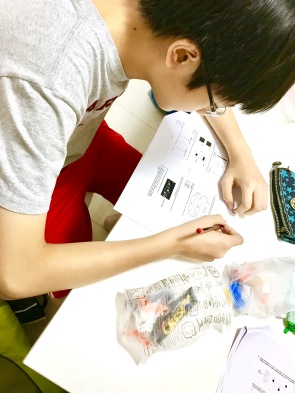 Yishun Science students advance up and tackle complex Science questions by thinking logically from a scientists' point of view. We make them into "junior" Scientists in our tuition classes.